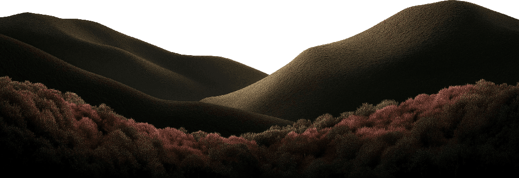 Transparent image of encrypted compute hills