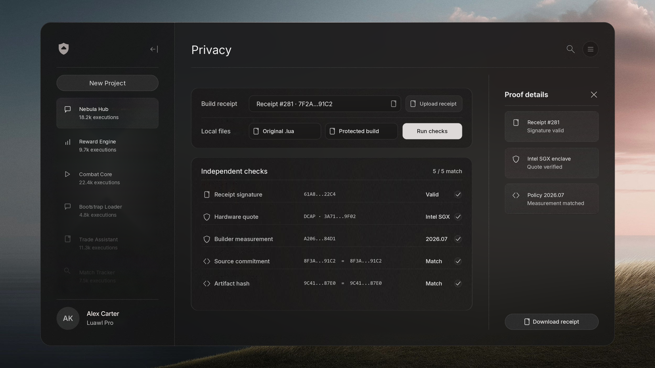 Luawl privacy view verifying a protected execution record.