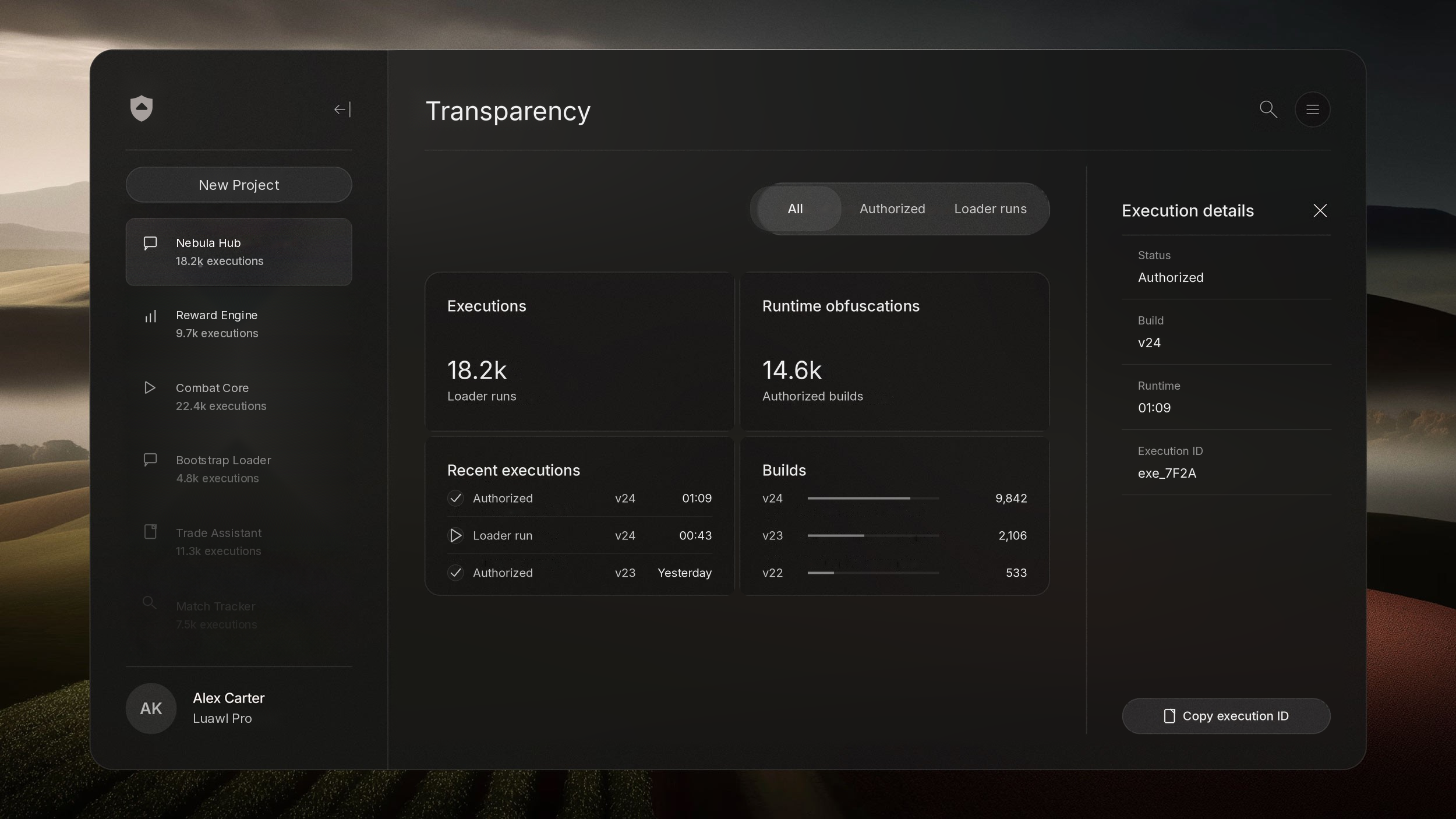 Luawl execution record with verification record, enclave proof, and run status.