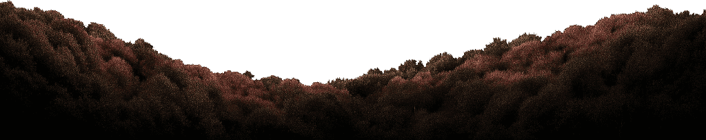 Transparent image of encrypted compute hills
