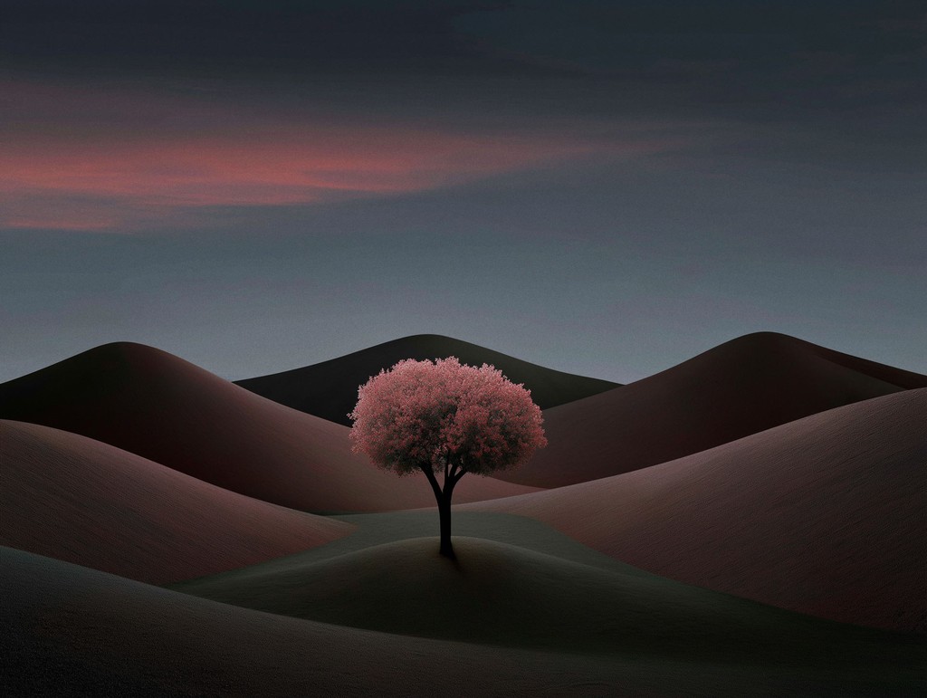 A lone tree in an open landscape representing a protected Luawl execution.